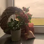 Ihm Apartament